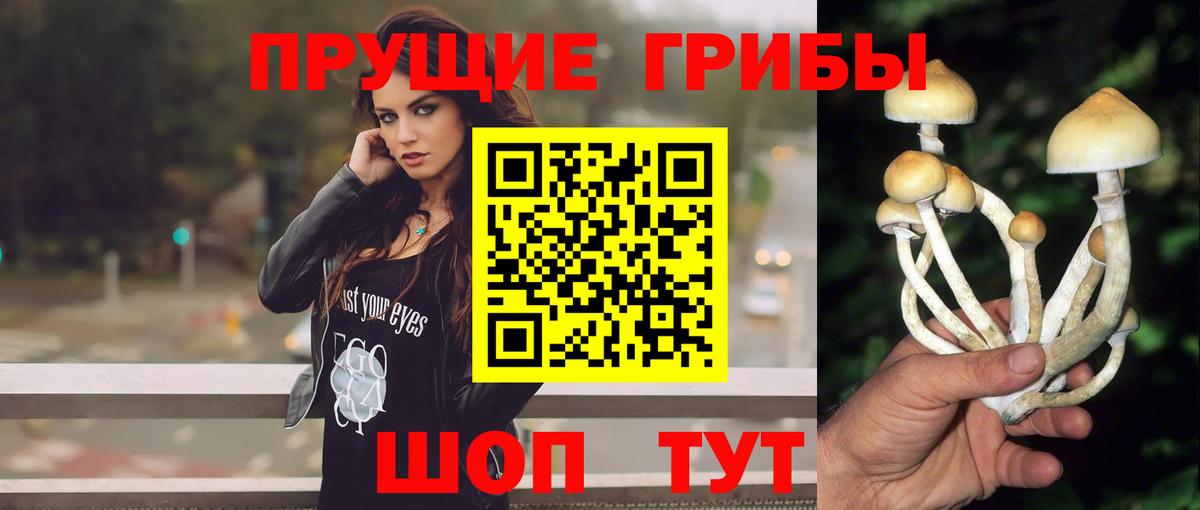 Раменское  купить наркотики сайты  Псилоцибиновые грибы Psilocybe  Вход с VPN  Псилоцибиновые грибы Cubensis 